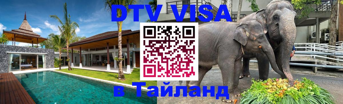 Сколько стоит DTV виза — актуальные цены, оформление даже без документов - 20.11.2025 